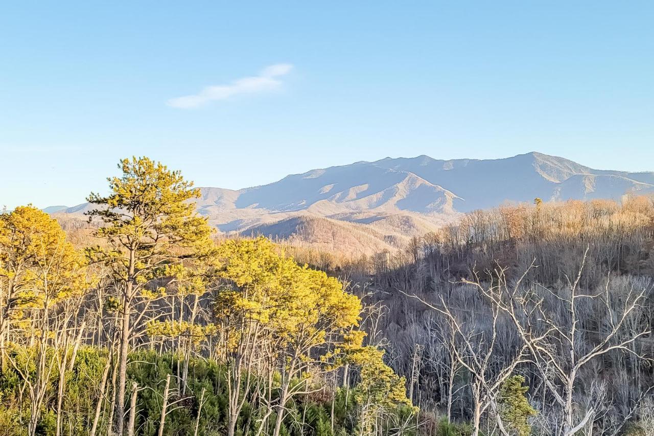 3 Lazy Bears Chalet Villa Gatlinburg Exterior photo